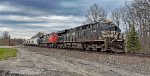NS 8163 leads the Sandman east.